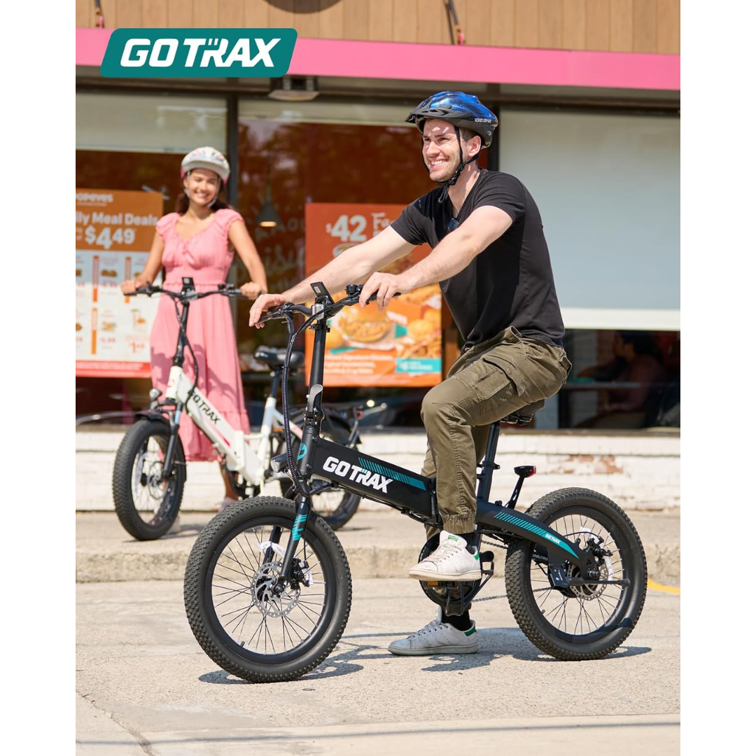Folding Electric Bike
